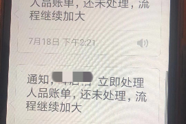 随县如何避免债务纠纷？专业追讨公司教您应对之策