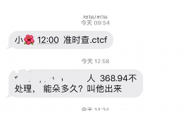 随县随县的要账公司在催收过程中的策略和技巧有哪些？